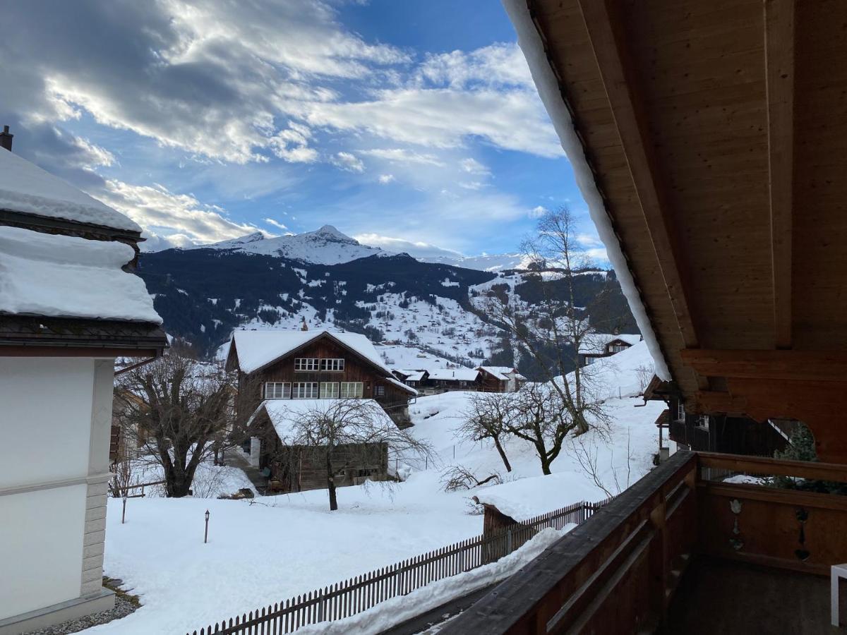 Chalet Elizabeth Apartment Grindelwald Exterior photo